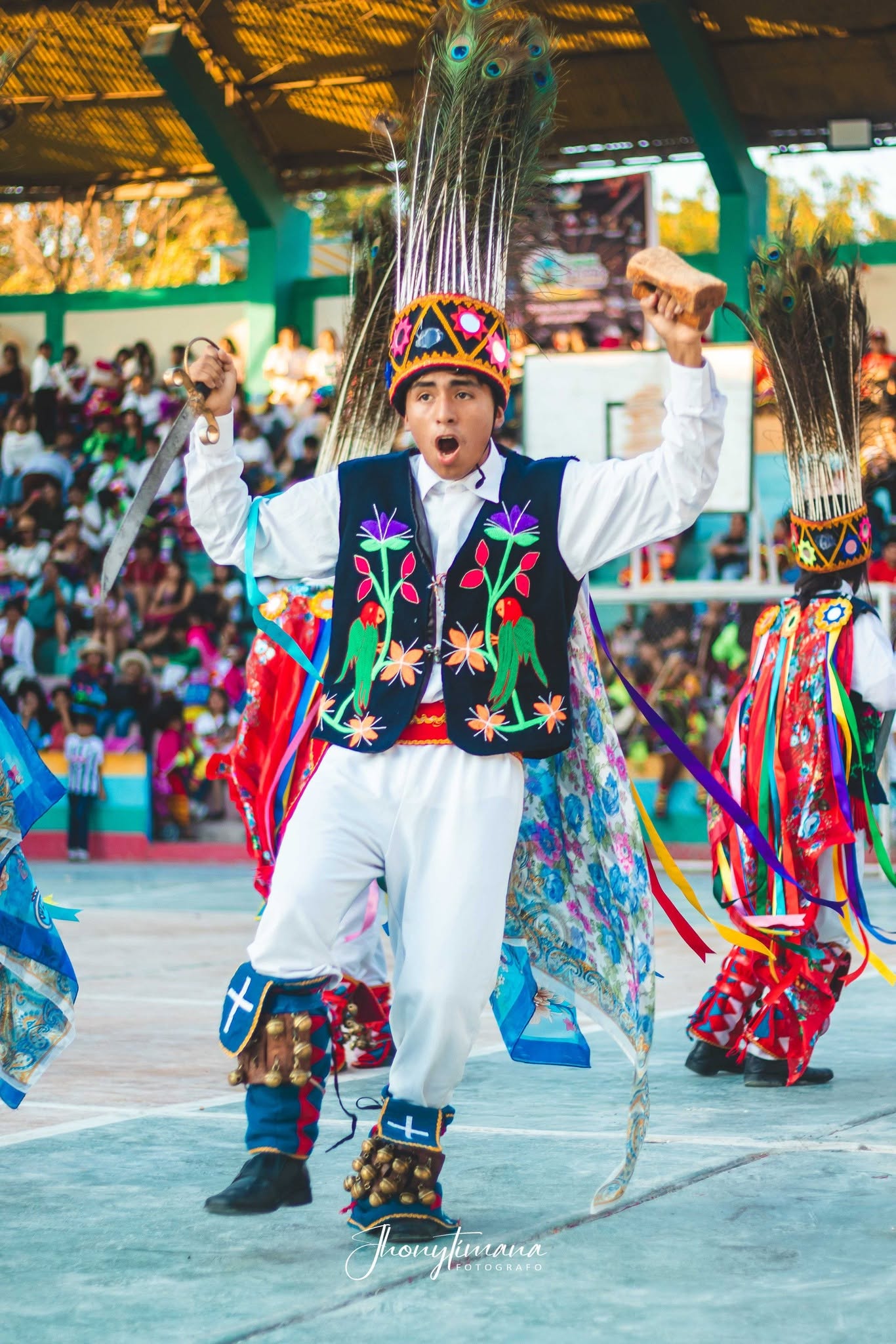 Agrupación participante